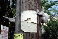 th-45_Scan-160716-0009 copy-17-17.jpg